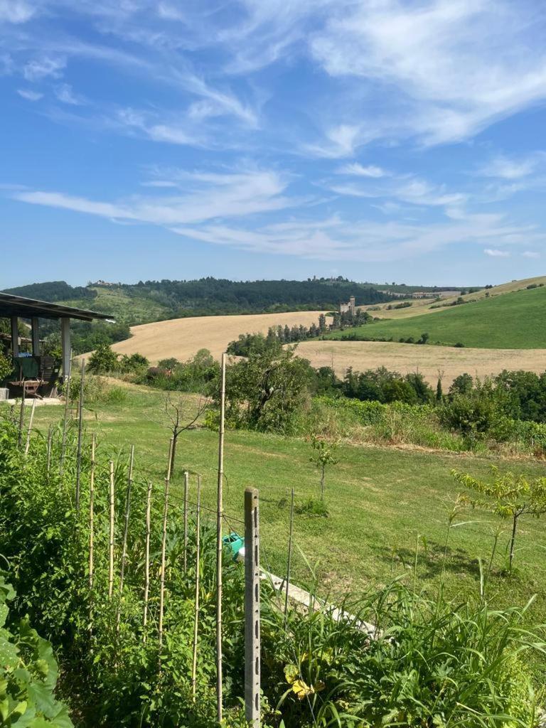 Cascina Pelizza Apartman Casale Monferrato Kültér fotó